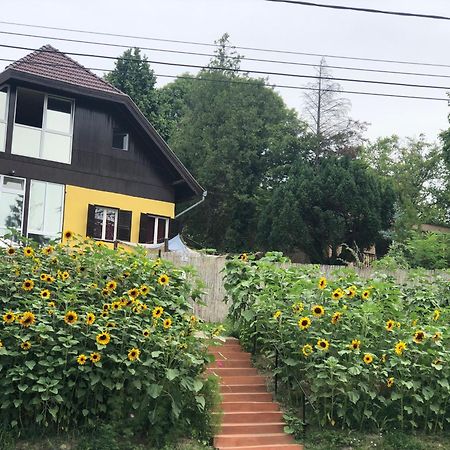 R&B Vendeghaz Daire Balatonakarattya Dış mekan fotoğraf