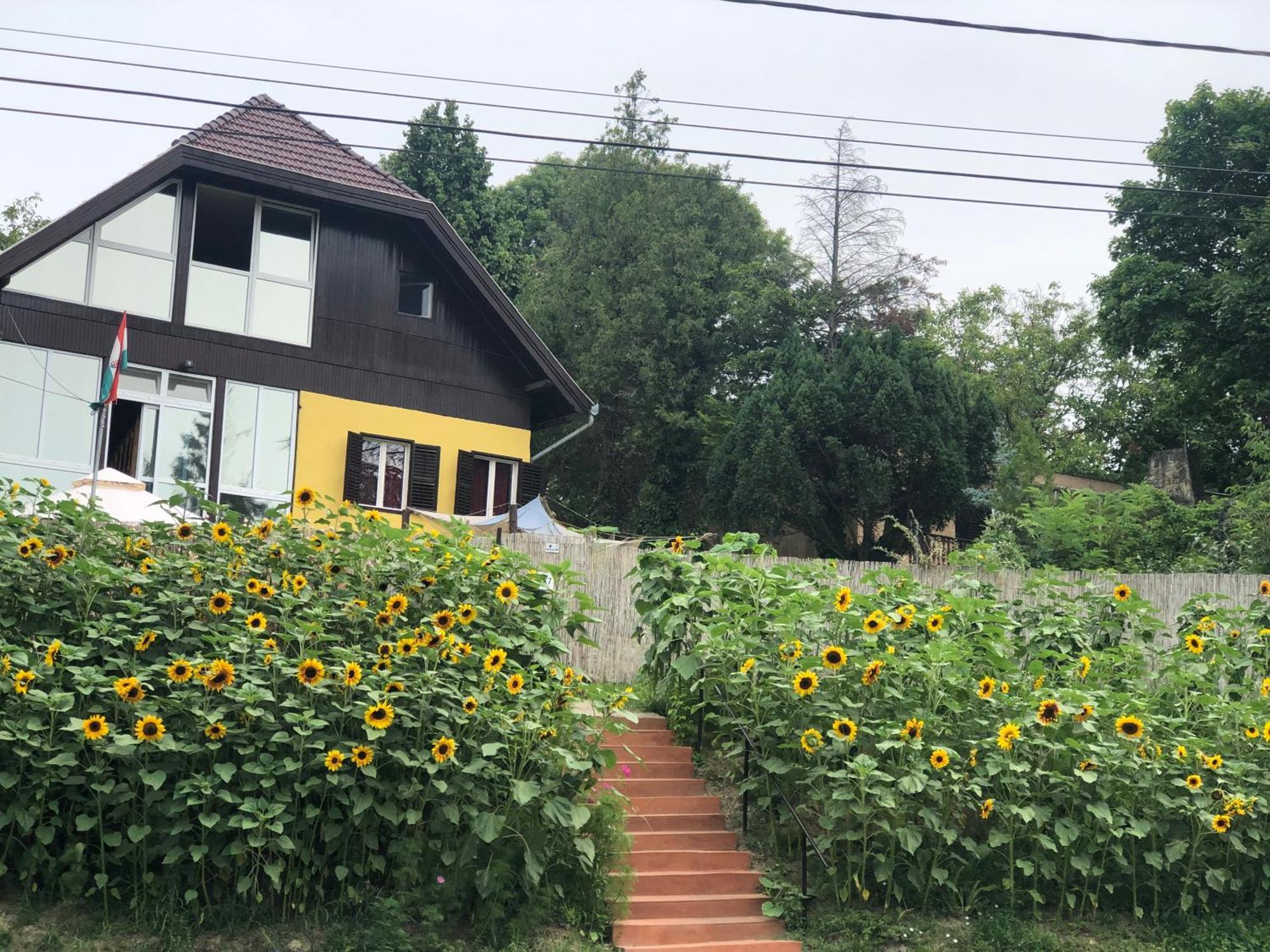 R&B Vendeghaz Daire Balatonakarattya Dış mekan fotoğraf